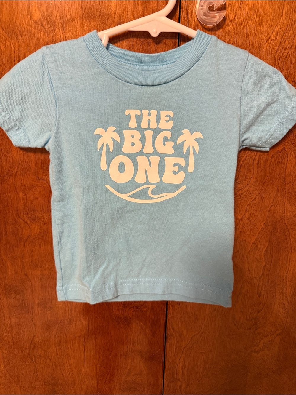 Light Blue Kids Tee with 'THE BIG ONE' 1st Birthday Graphic